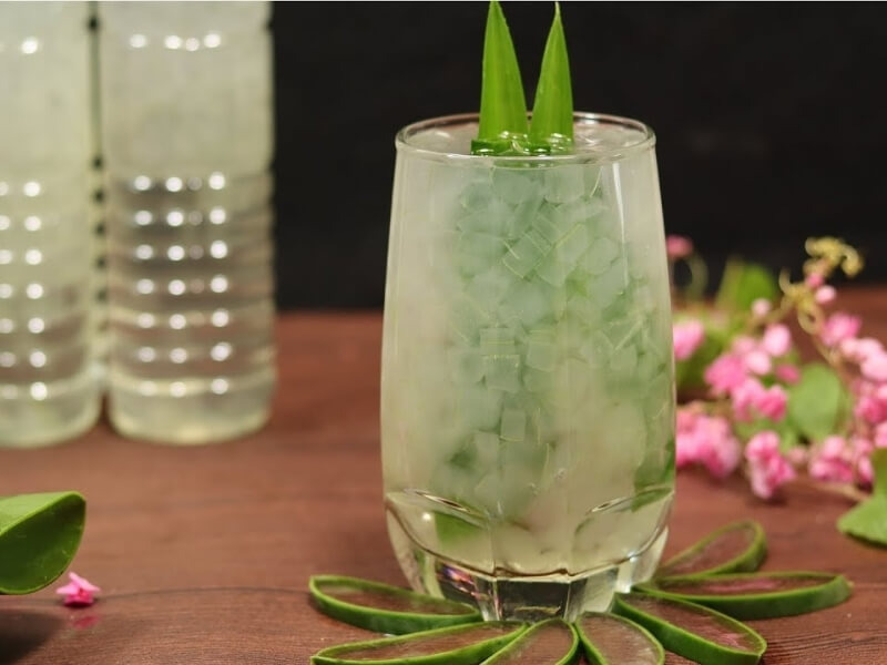 Yến chưng với đường phèn và nha đam
