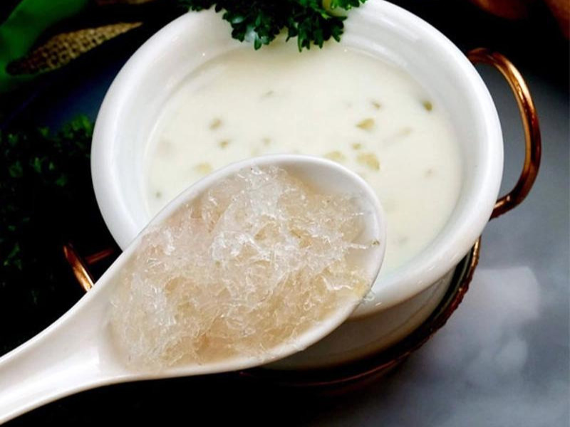 Yến sào chưng sữa tươi và đường phèn