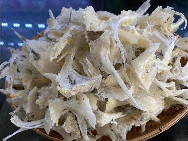 chân yến là gì