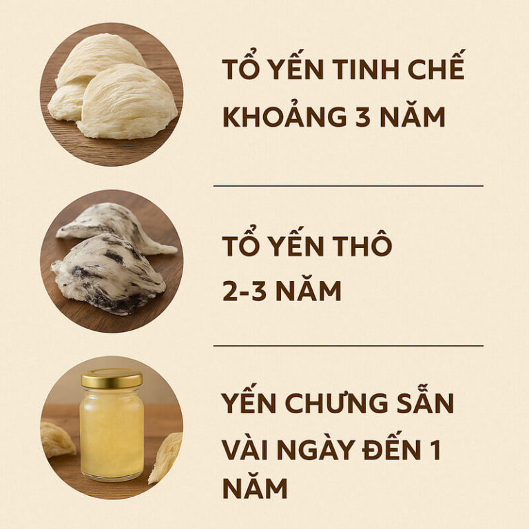 hạn sử dụng của tổ yến