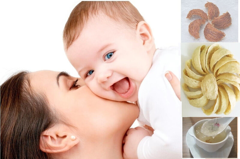 Giá trị dinh dưỡng của yến sào đối với trẻ em