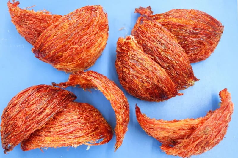 sự thật đằng sau màu đỏ của huyết yến