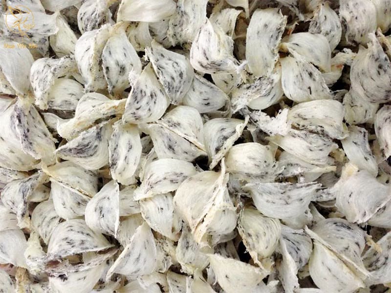tổ yến bao nhiêu tiền 1 kg