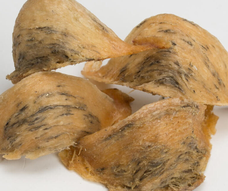 tổ yến bị vàng