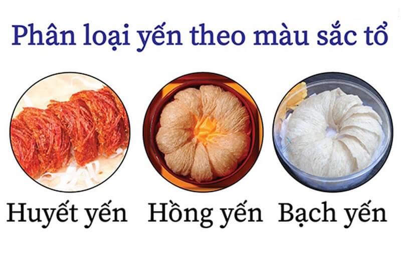 Phân loại tổ yến theo màu sắc