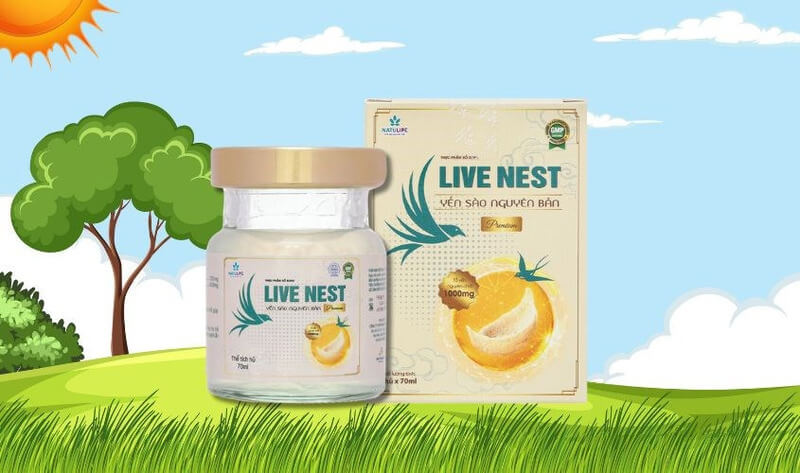 Yến chưng sẵn Live Nest