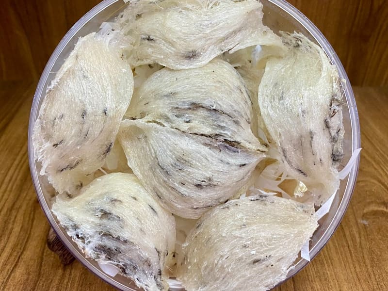 yến sào tiếng anh là gì