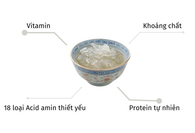 Dinh dưỡng của tổ yến