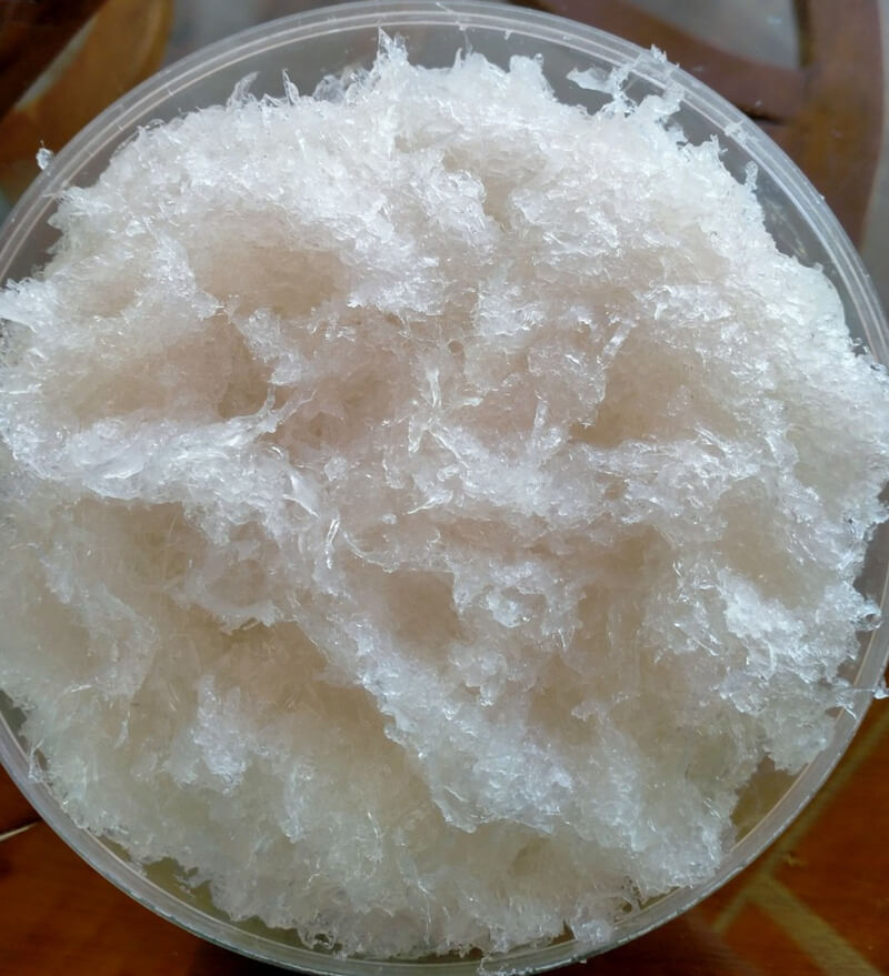 Cách bảo quản yến tươi