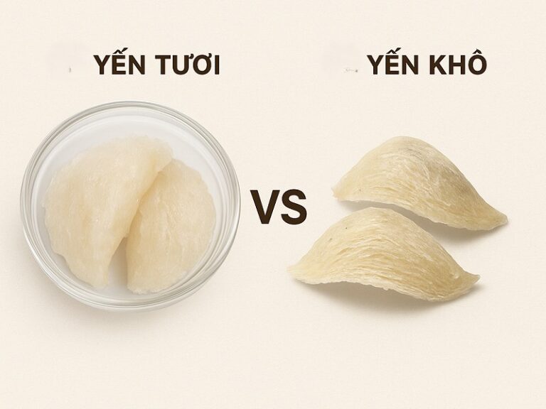 yến tươi và yến khô