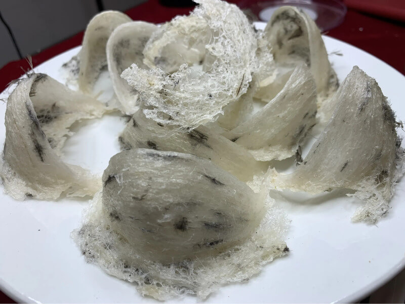 Bảo quản yến thô