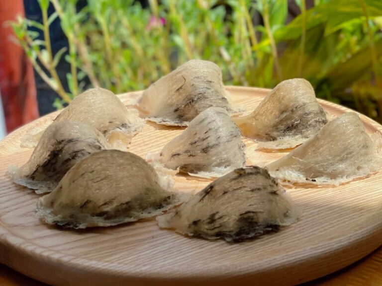 cách bảo quản yến thô