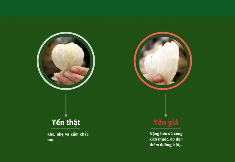 Hình dáng và trọng lượng yến thật và yến giả