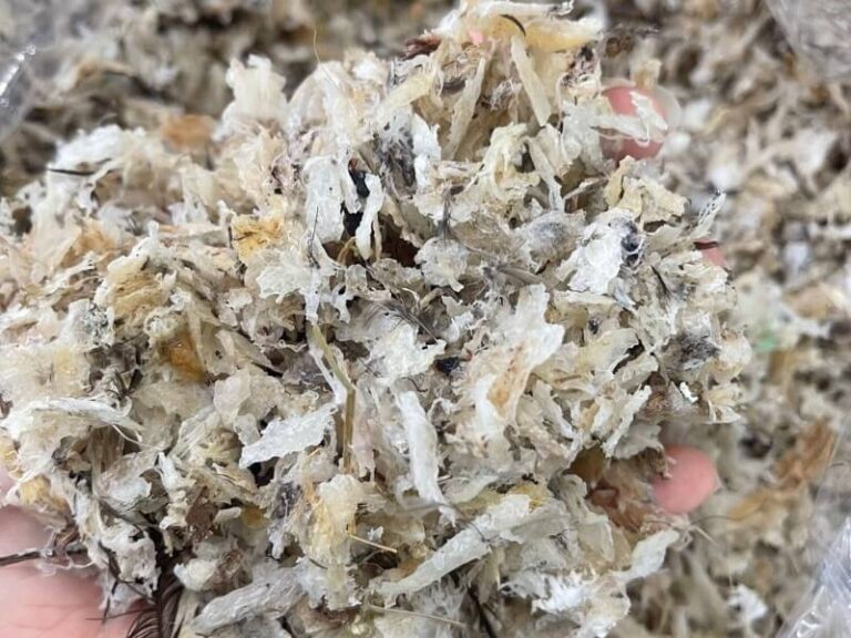 tổ yến vụn thô một lạng và mức giá mới nhất