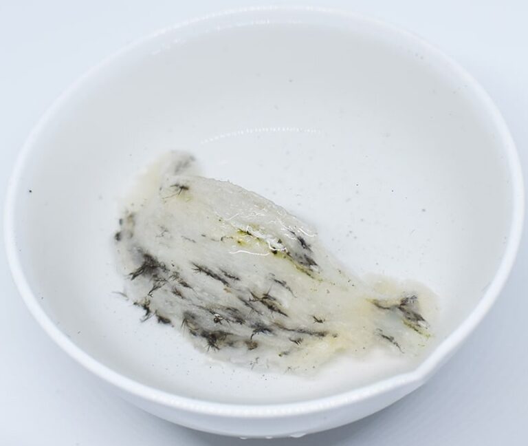 tổ yến ngâm trong nước bao lâu