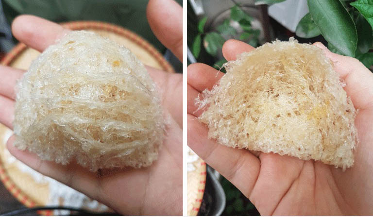Cách phân biệt yến thật và yến giả
