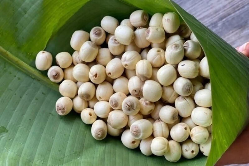 hạt sen ngon