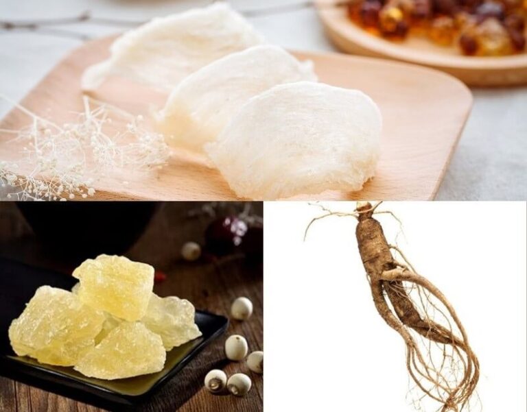 cách làm tổ yến chưng nhân sâm