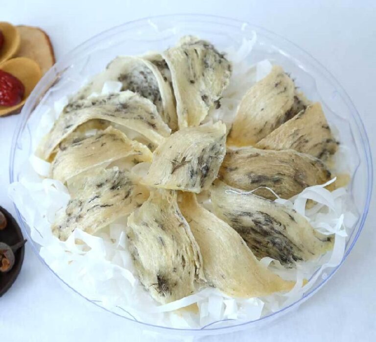 Tổ yến khô để tủ lạnh được bao lâu