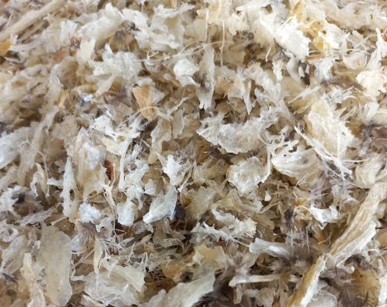 to-yen-tho-vun tổ yến vụn thô