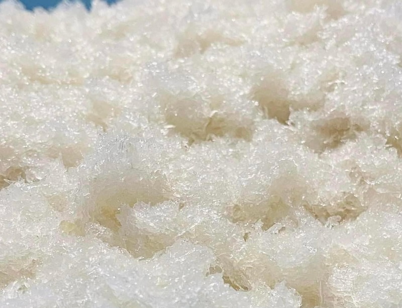 tổ yến vụn tươi