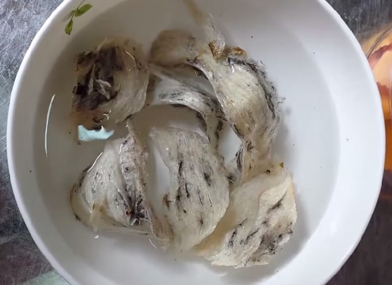 Tổ yến thô ngâm nước trong bát trắng, chuẩn bị làm sạch, chế biến món ăn dinh dưỡng cao cấp.