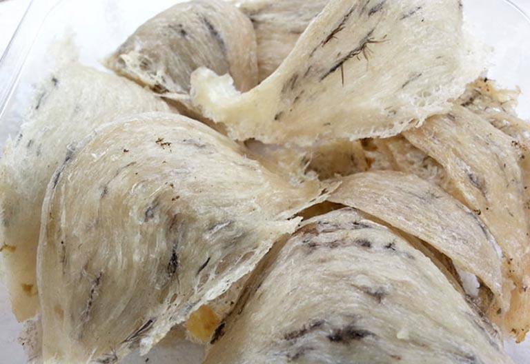 tại sao tổ yến lại đắt